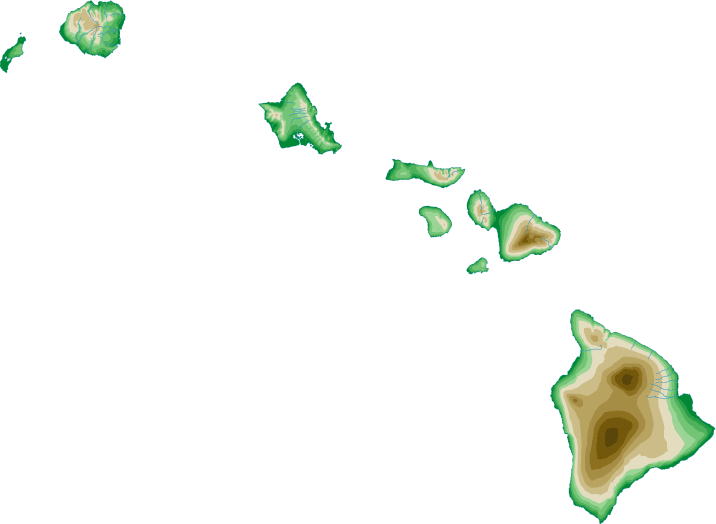 Hawaii topo map
